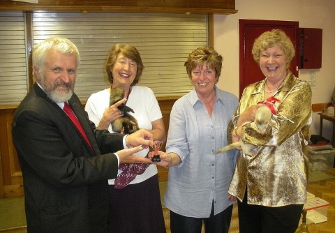 Ferret Racing1 Ferret Racing1